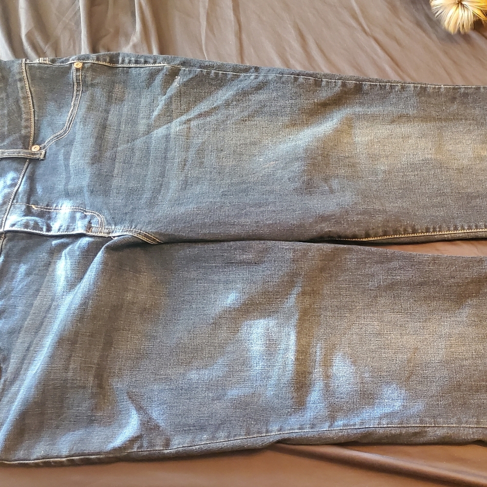 New Maurices Jeans